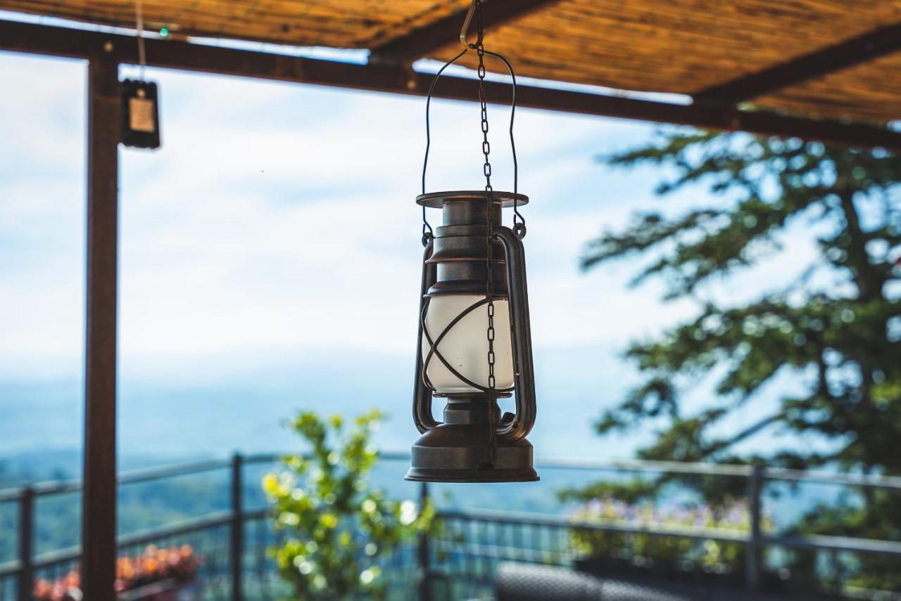 Casa Grinta B&B Читта-делла-Пьеве Экстерьер фото